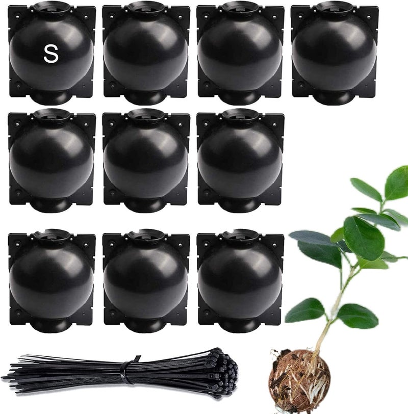 Lazzineer Tree Root Growing Box, Reusable Transparent Plants Asexual Reproduction Grafting Ball, High Pressure Air Layering Pods Propagation Kit (10pcs Small) - Image 1